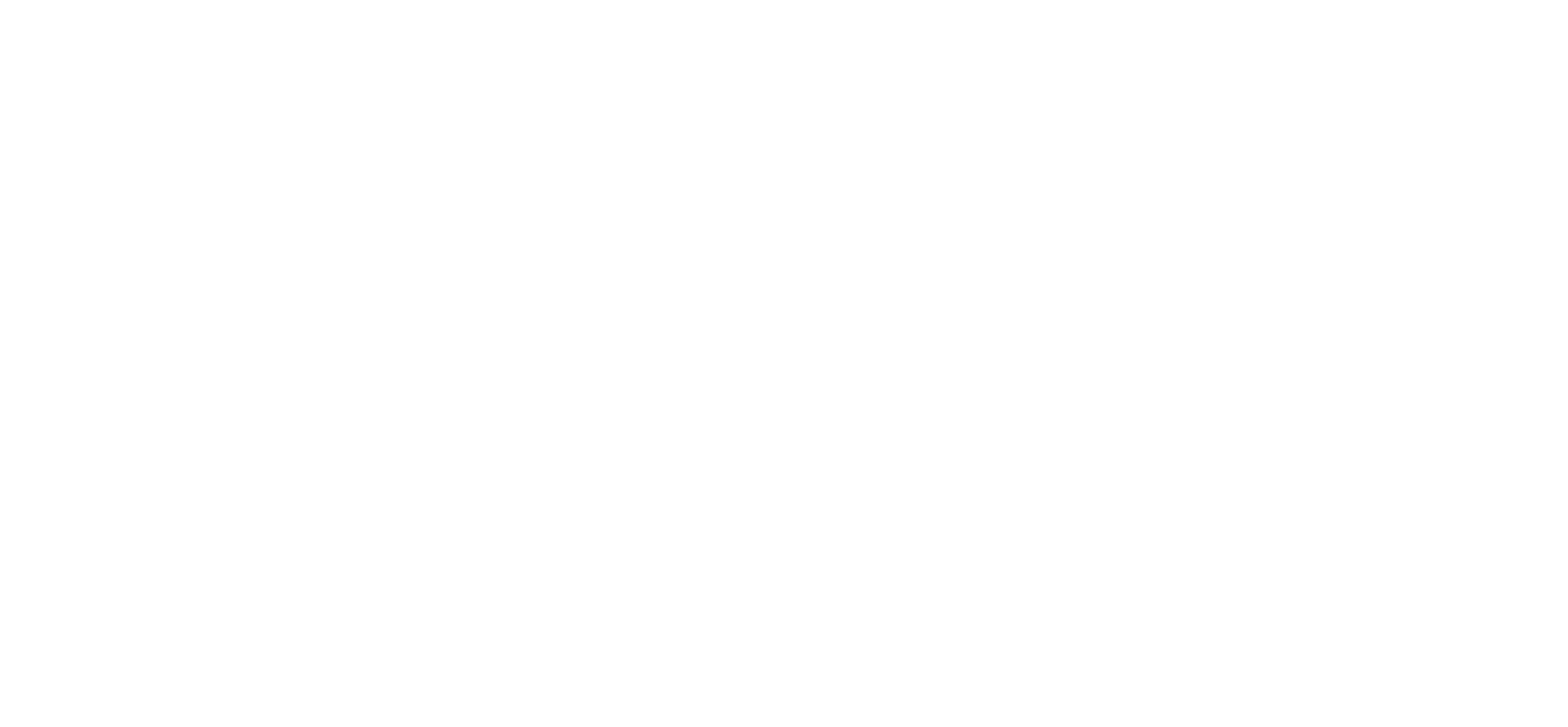 Bar FiftyFive55
